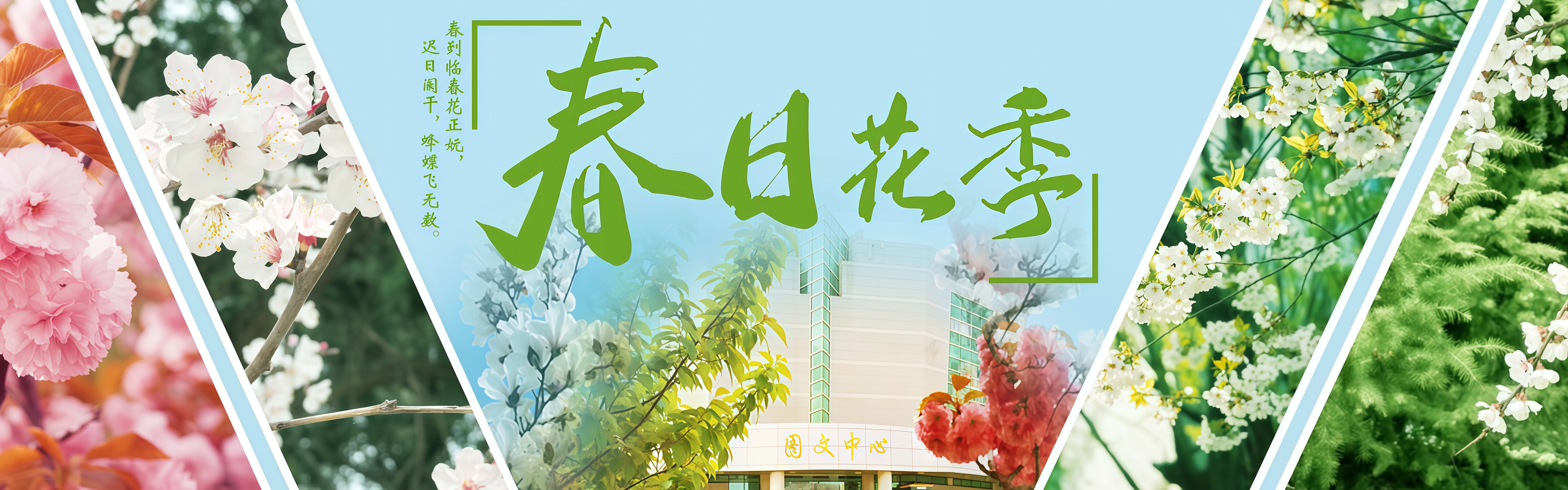必赢亚洲